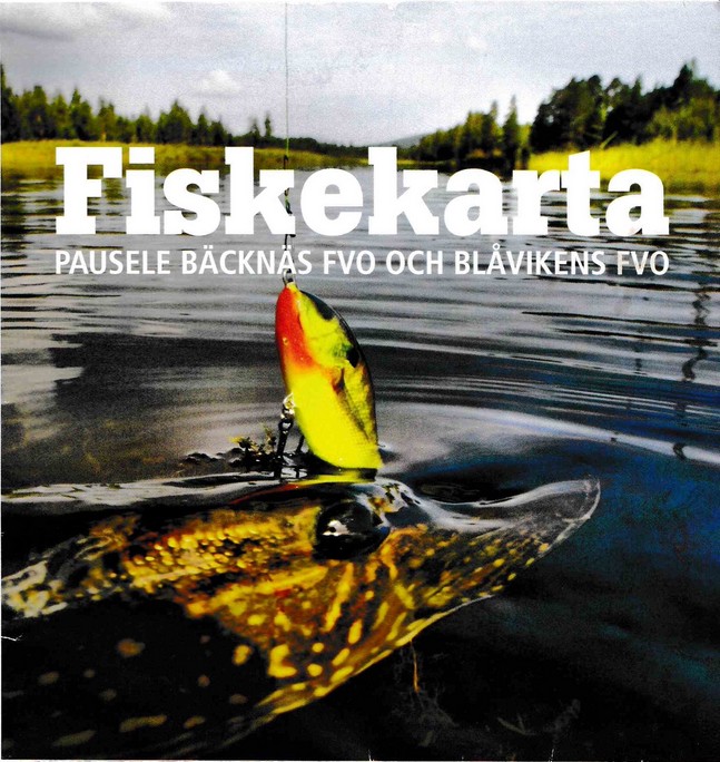 fiske3